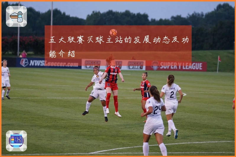 五大联赛买球主站的发展动态及功能介绍