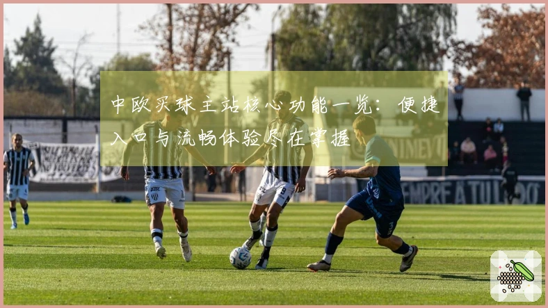 中欧买球主站核心功能一览：便捷入口与流畅体验尽在掌握