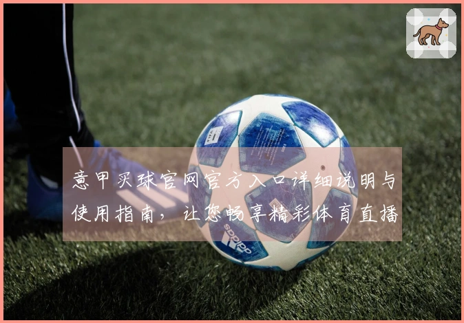意甲买球官网官方入口详细说明与使用指南，让您畅享精彩体育直播体验
